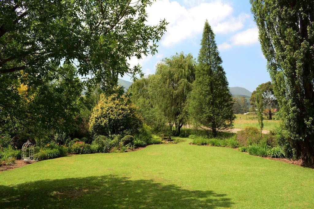 Toad Hall Guest House Wakkerstroom Екстер'єр фото