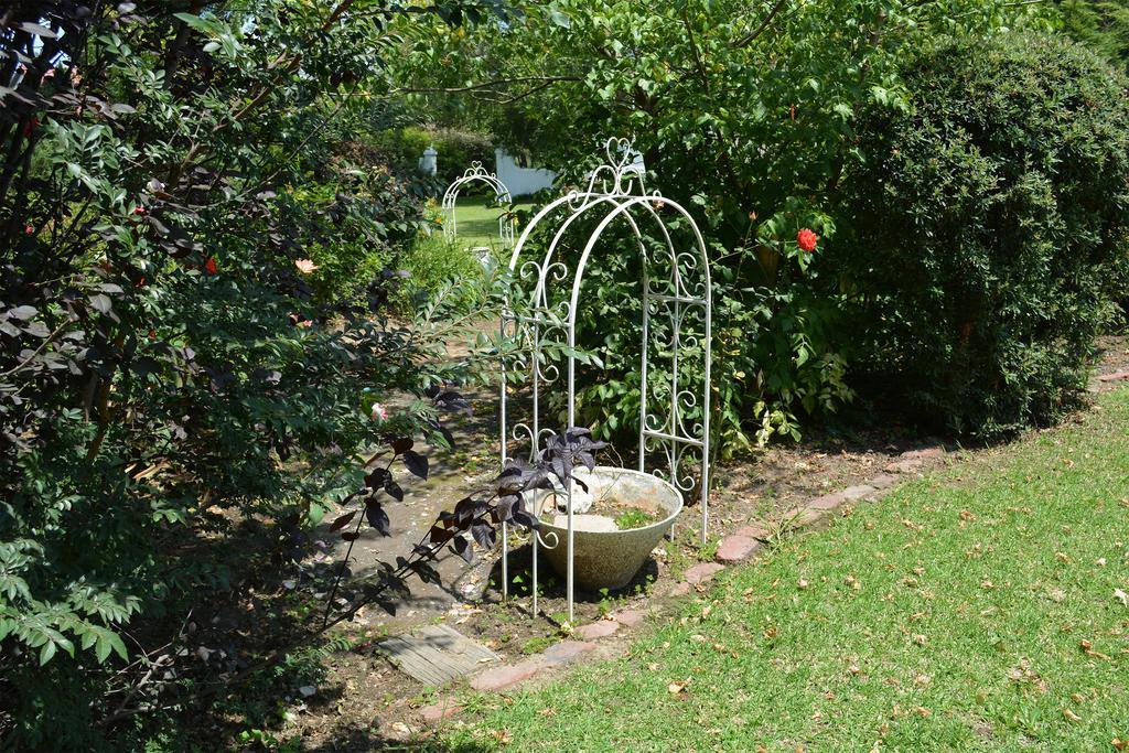 Toad Hall Guest House Wakkerstroom Екстер'єр фото